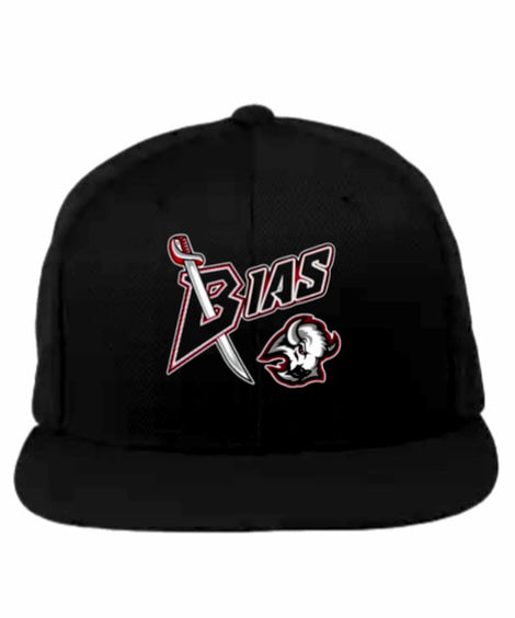 Black TeamBias SnapBack